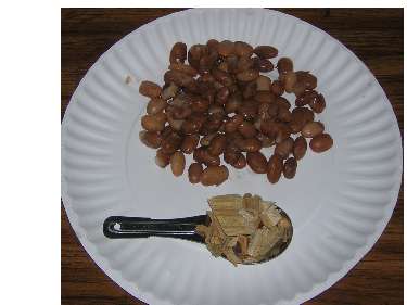 Pine Chips and Pinto Beans